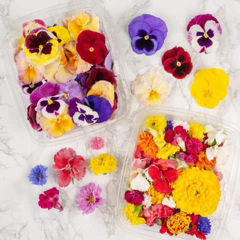 Edible Flowers