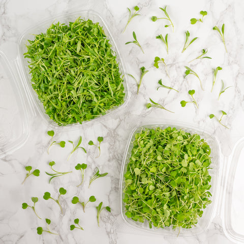 MicroGreens