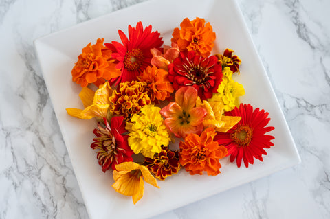 Premium Fall Flowers Mix