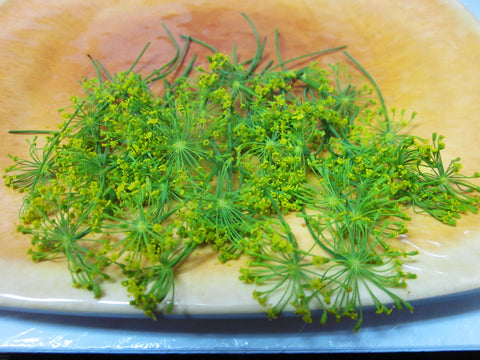 Dill Flower
