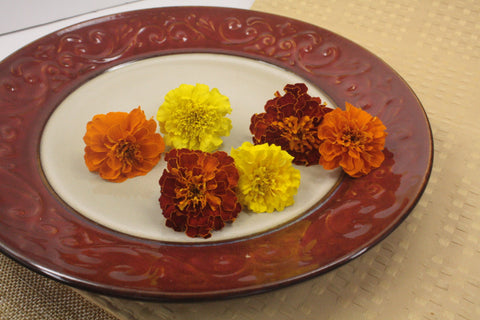 Marigold