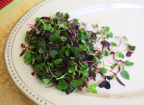 Micro Harvest Mix™