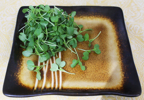 Micro Wasabi™